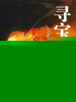 寻宝神瞳以闪电之名