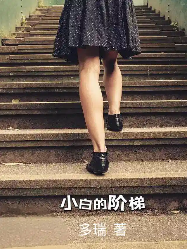 小白的阶梯